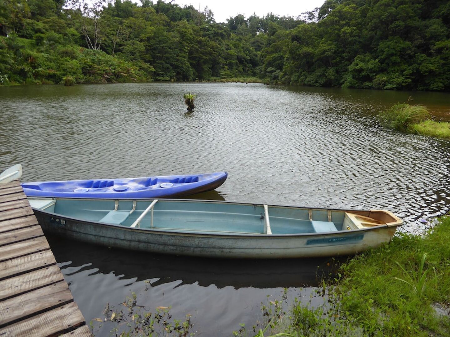 Lucky Bug Bed And Breakfast