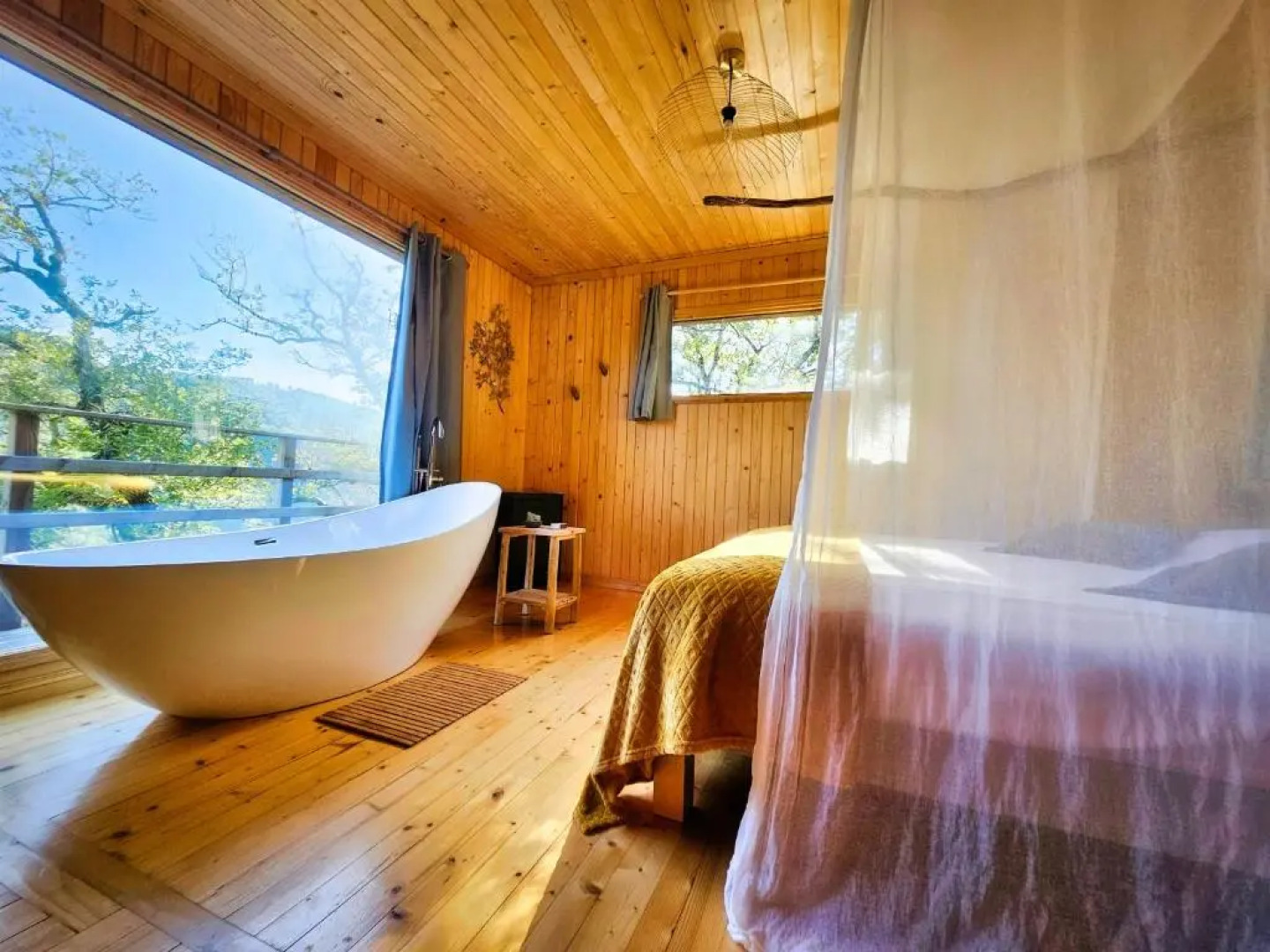 Hetre Sous Le Charme