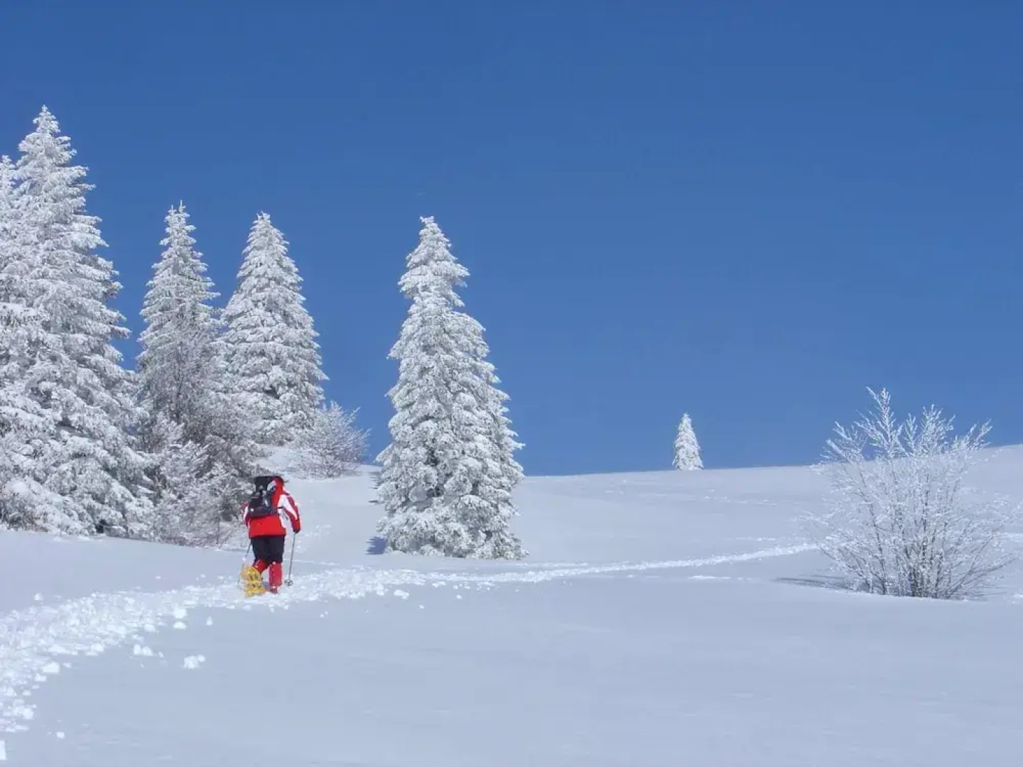 Hotel Landgasthof Adler