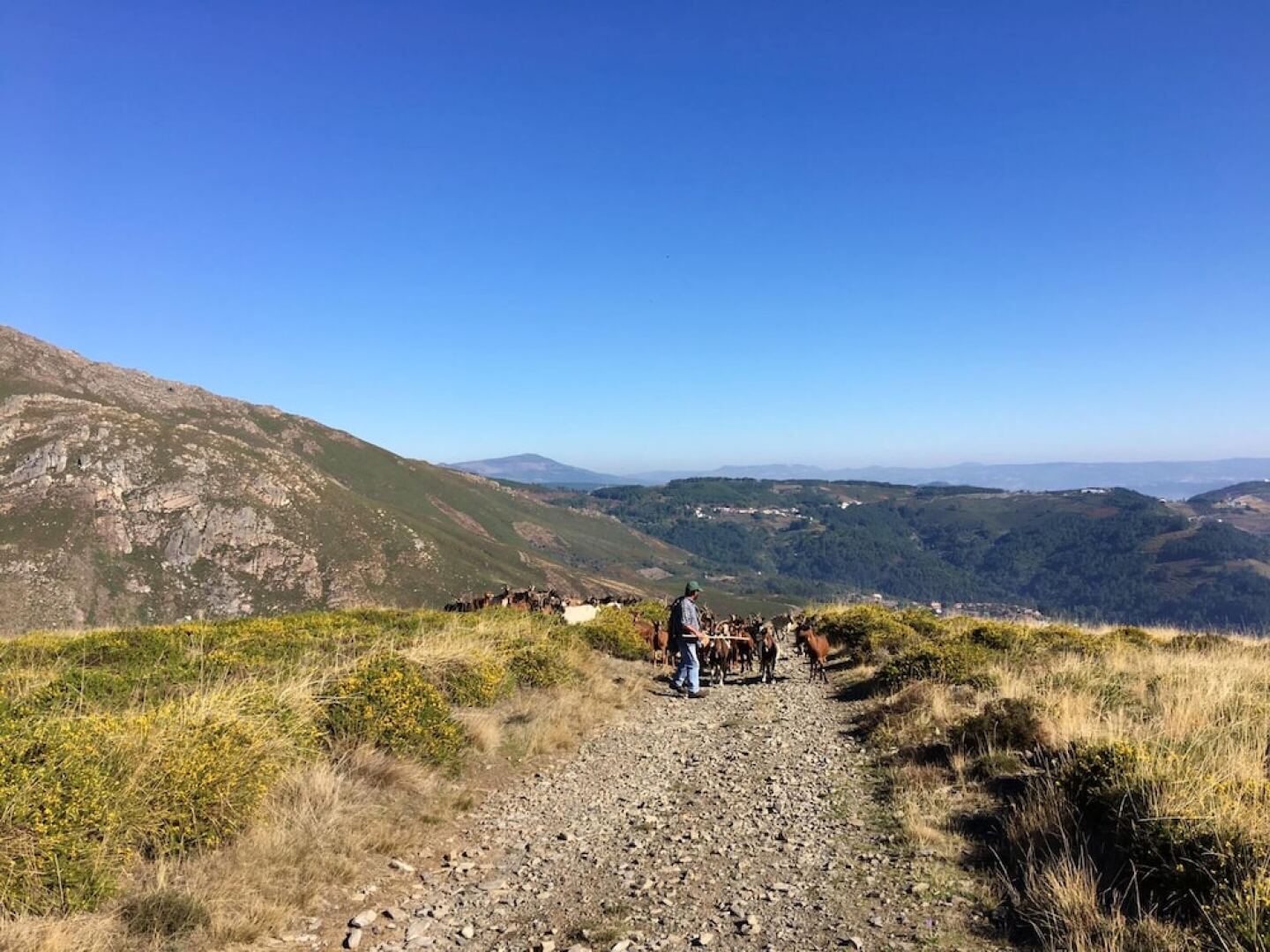 House With 2 Bedrooms in Peso da Régua, With Wonderful Mountain View,