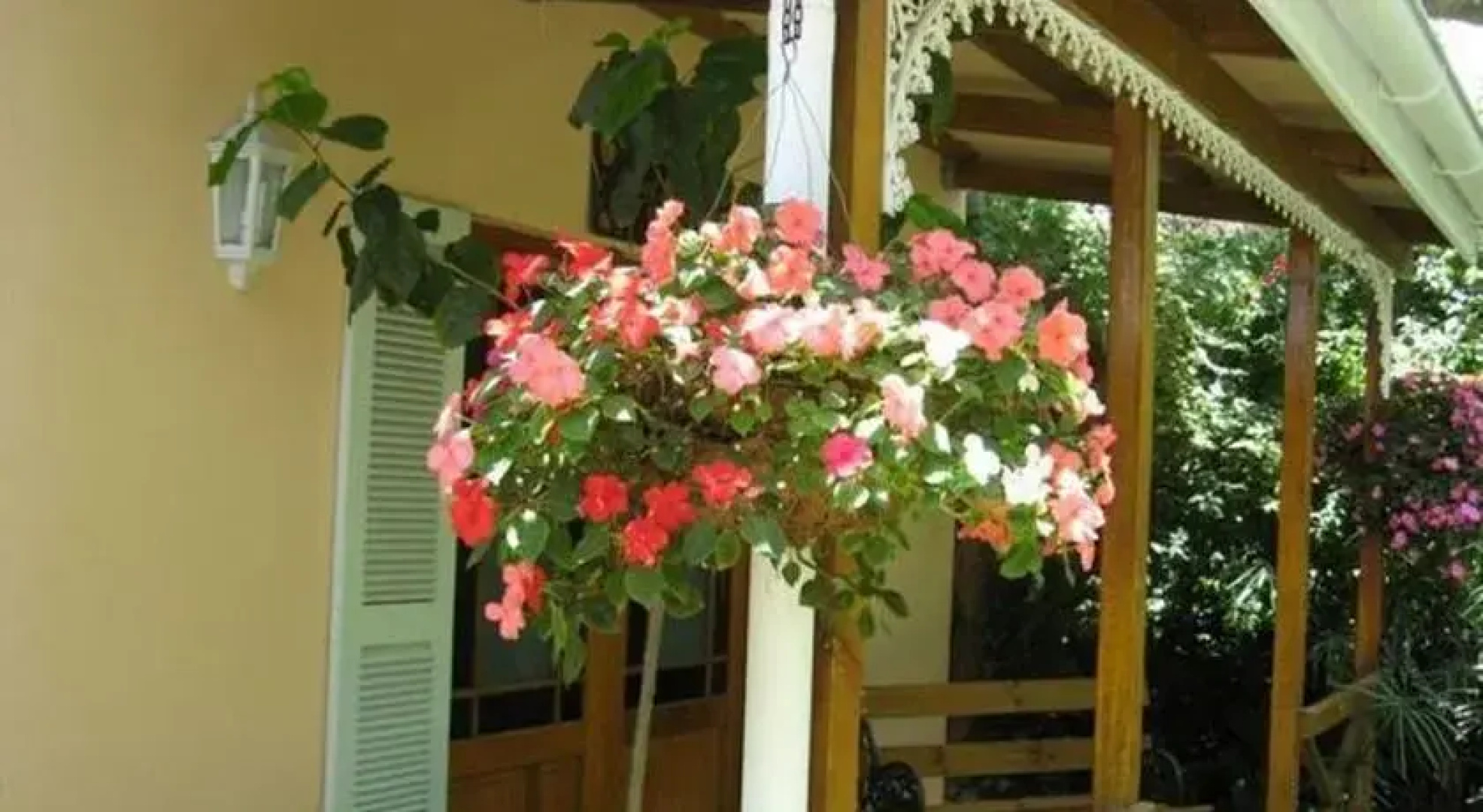 Coral Guest Cottages
