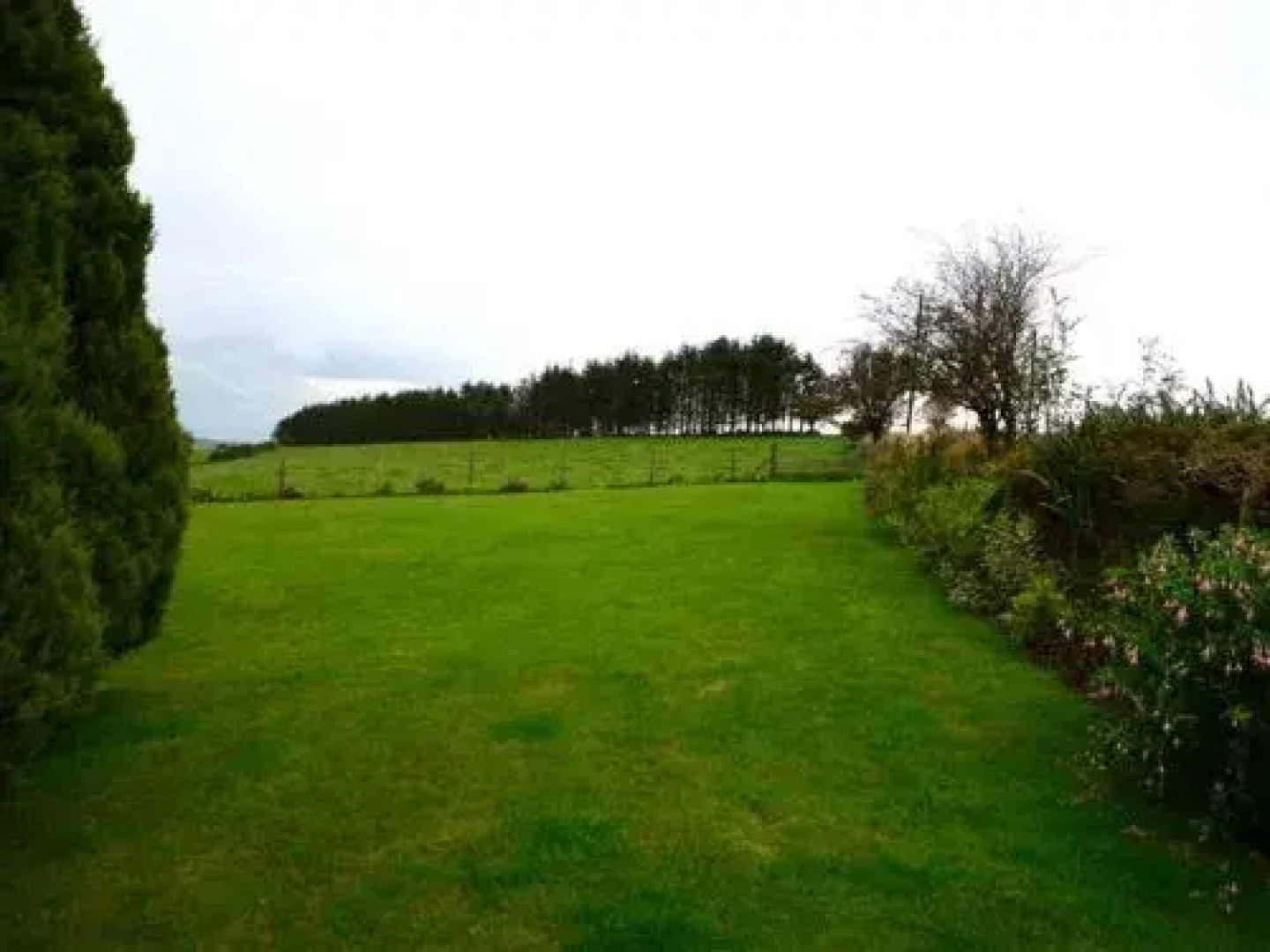 Bungalow Dandy Agaete