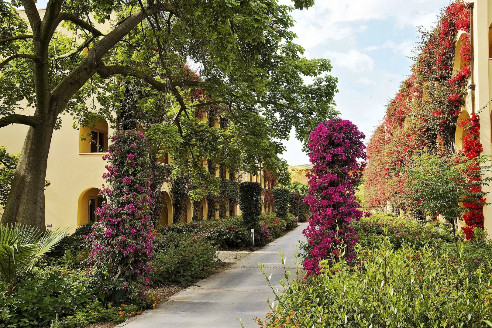 TUI MAGIC LIFE Calabria - All Inclusive