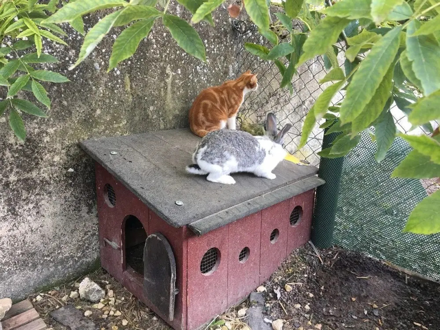 Camping La Ferme de Perdigat