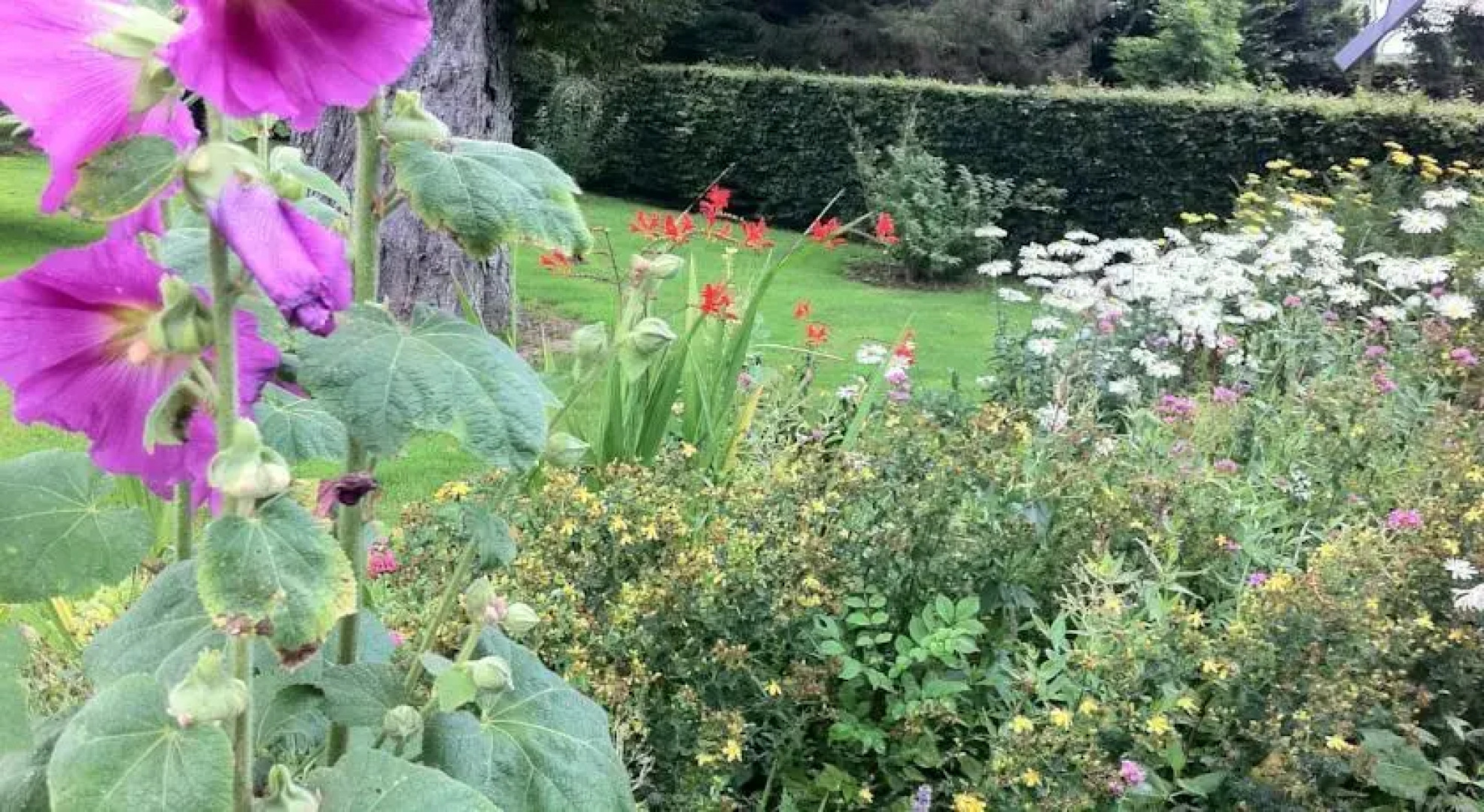 Chambres dHôtes la Riviérette