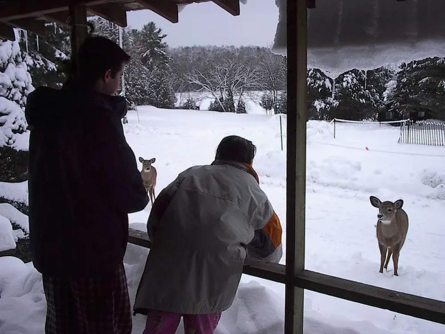 Bondi Village Resort