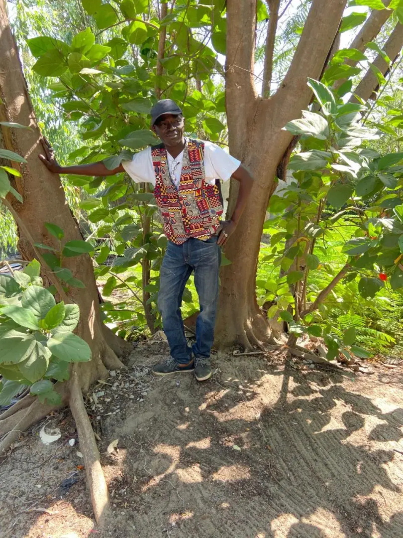 Jungle Beach Resort