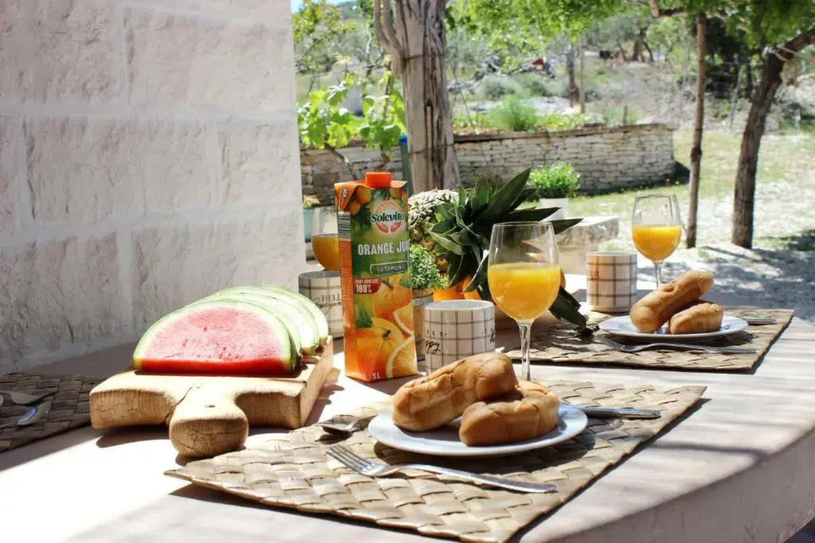 Robinson House Dubrova