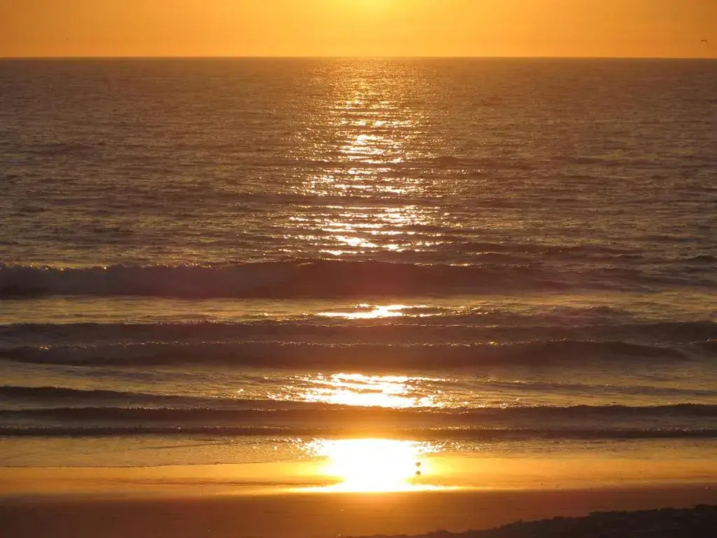Caparica for Rent
