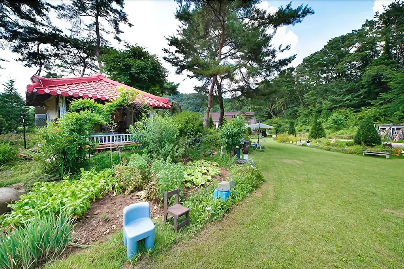 Yangpyeong Dandelion Pension