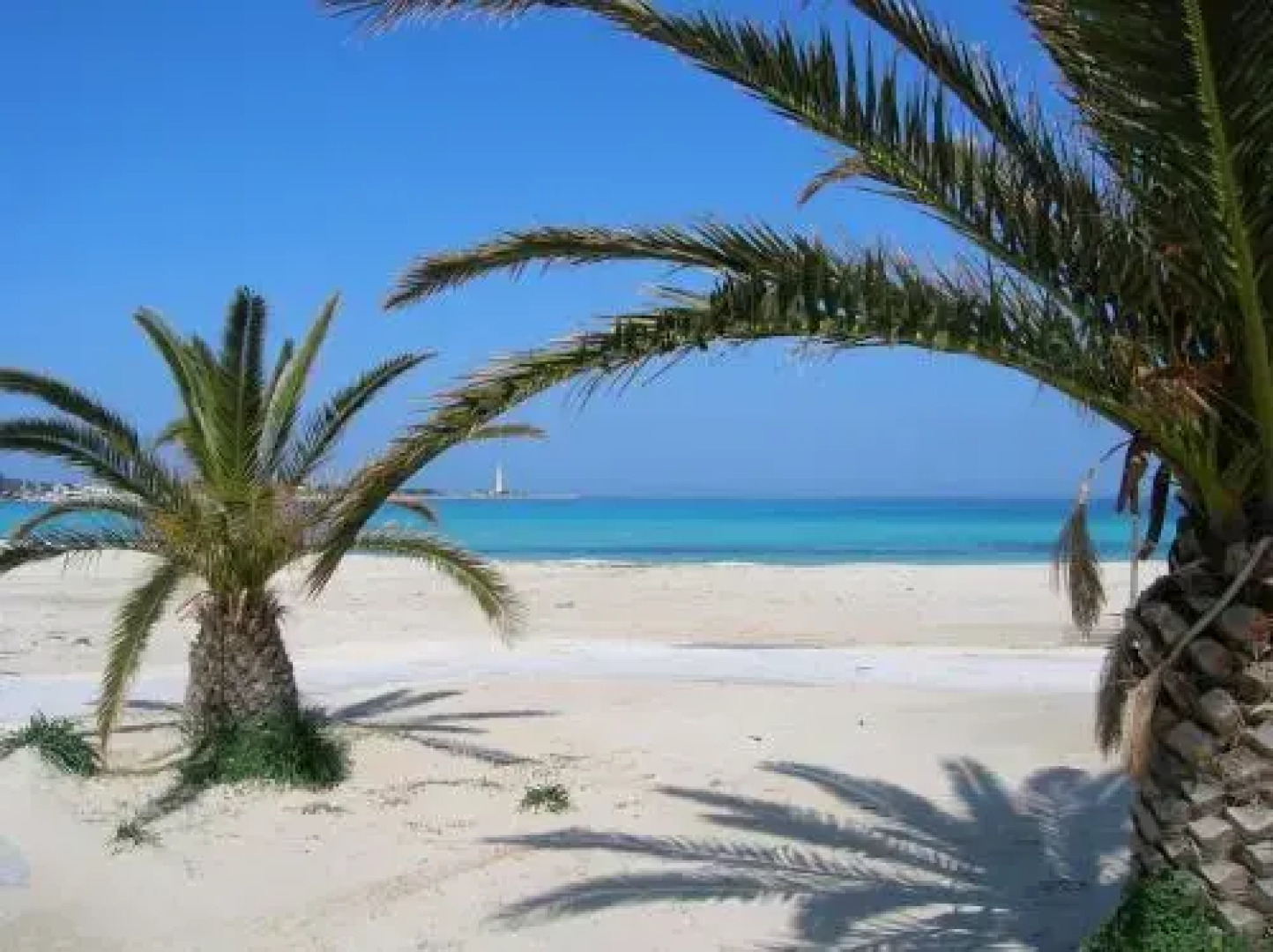 LAgave B&B Trapani Garden Paradise