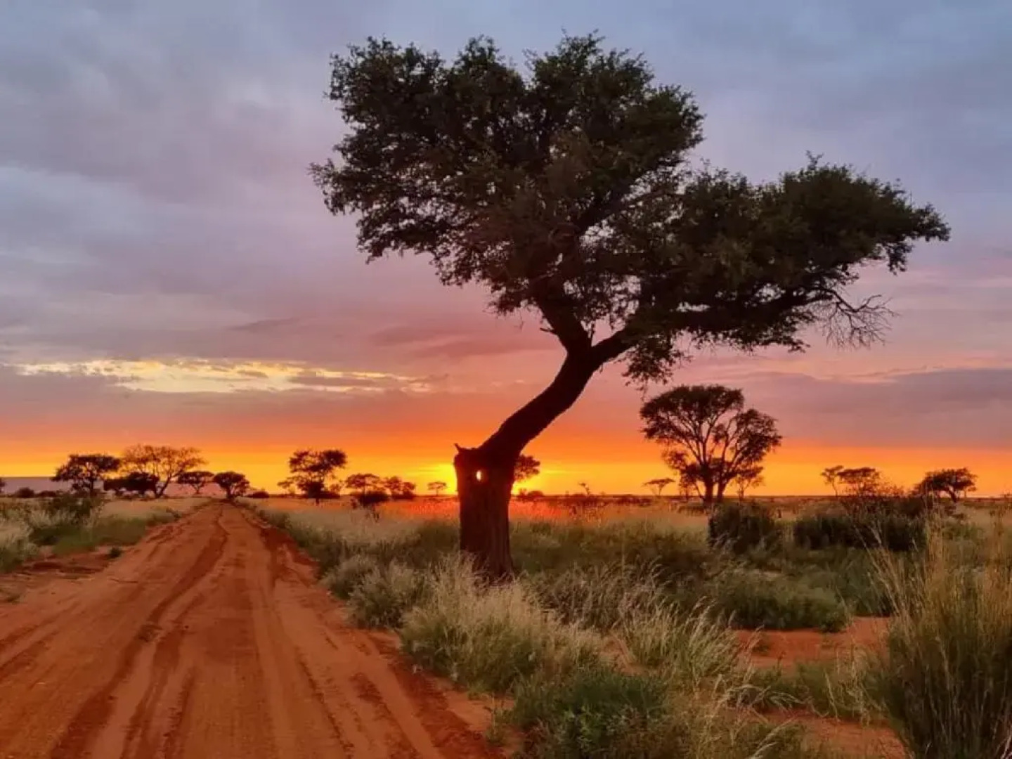 White House Guest Farm