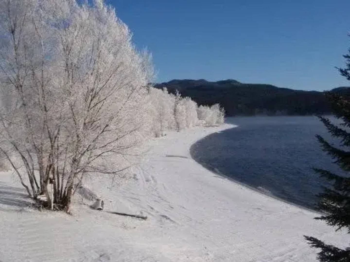 The Canim Lake Beach House