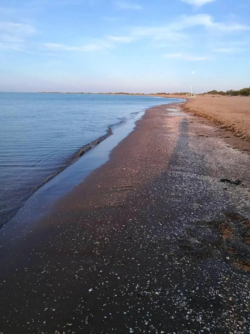 Villa With 3 Bedrooms in Riumar, With Private Pool, Furnished Terrace and Wifi Near the Beach