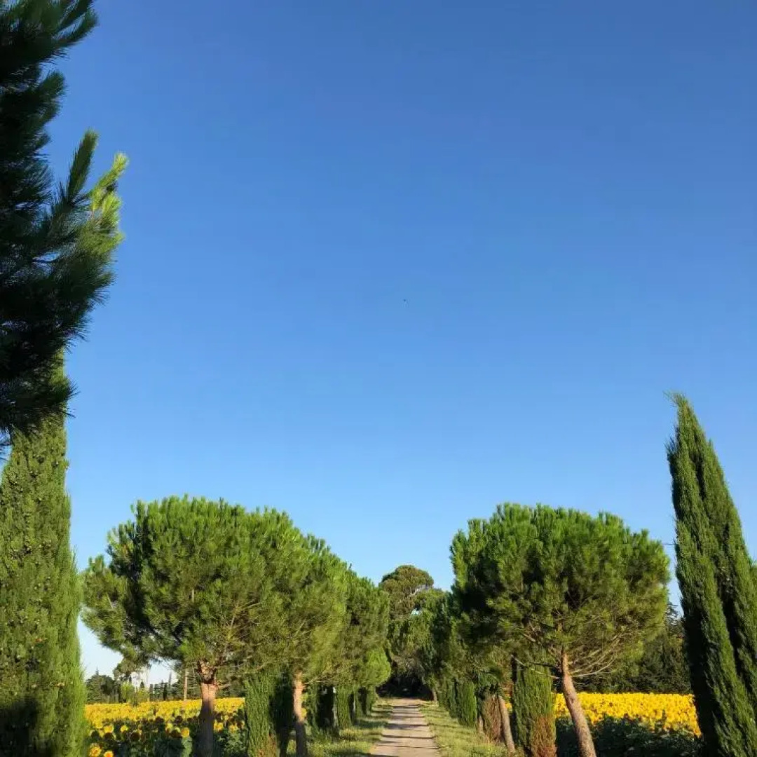 Domaine de La Forçate