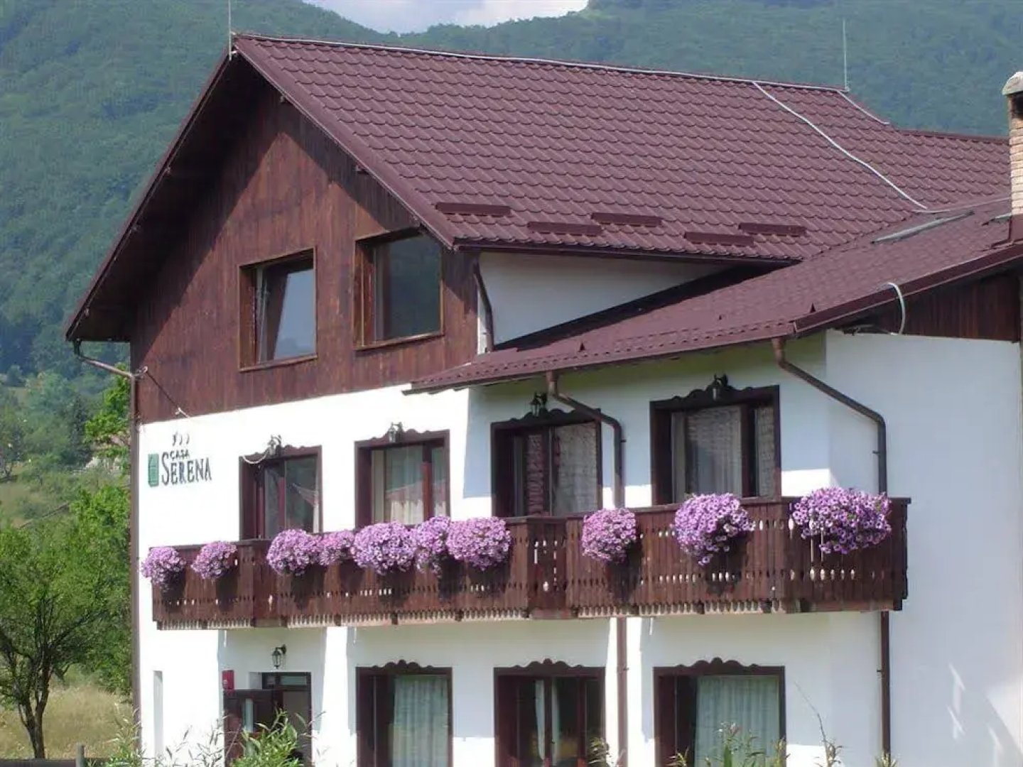 Serena Guesthouse Bran