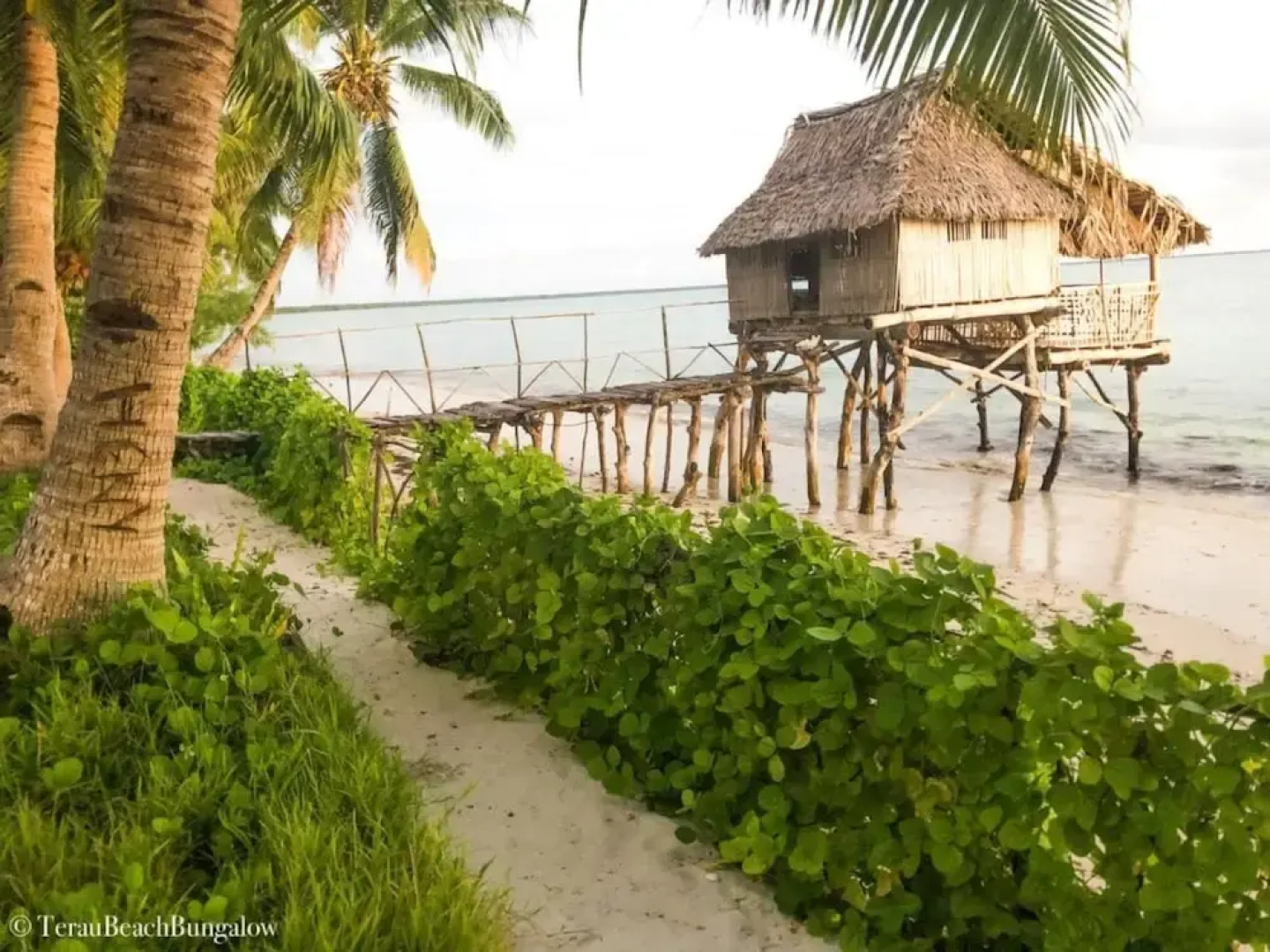 Terau Beach Bungalow
