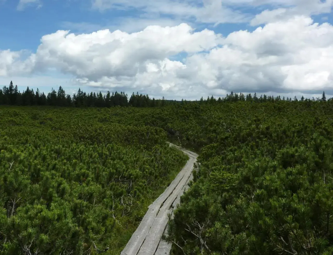 Farm Stay Rotovnik - Plesnik