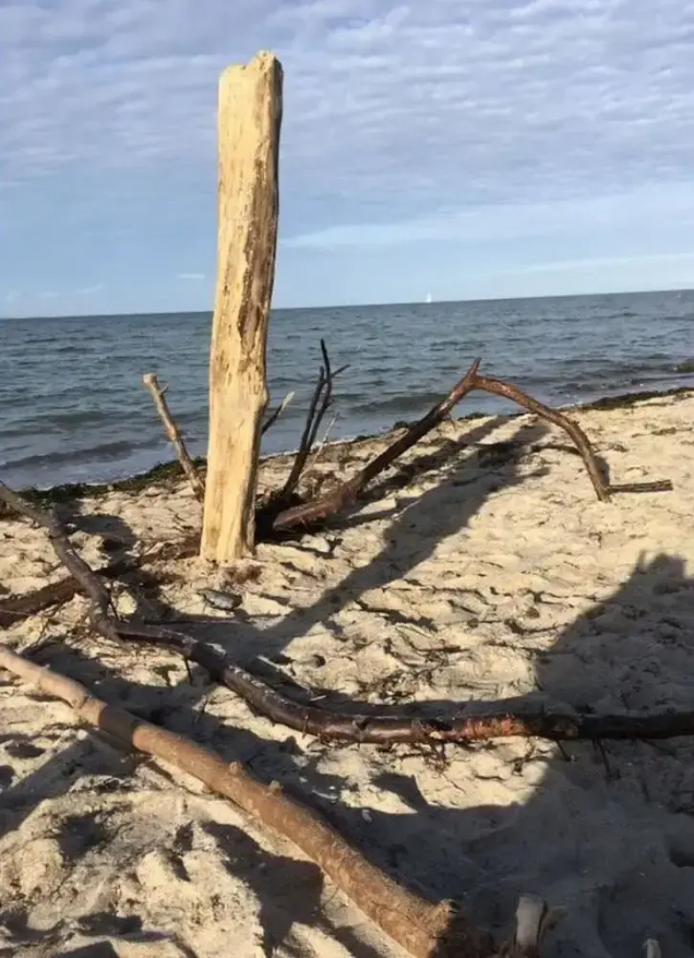 WE Evening sun in the sun House