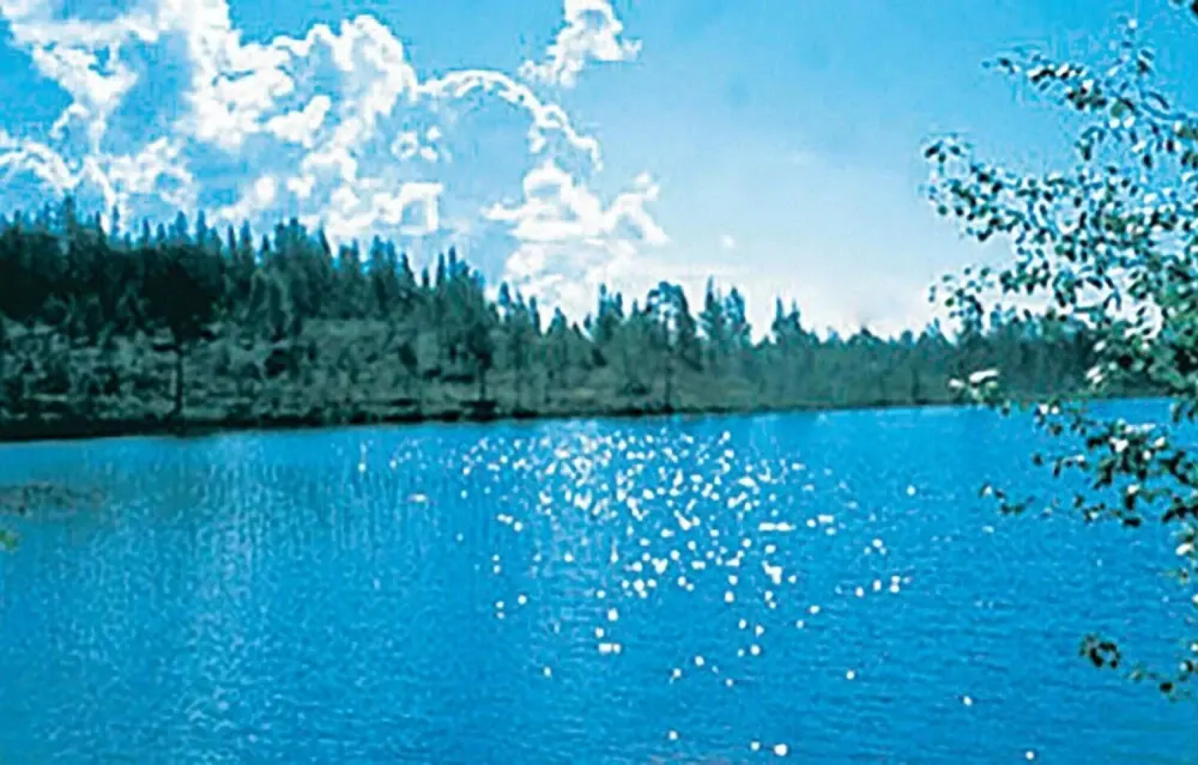 Amazing Home in Särna With 1 Bedrooms