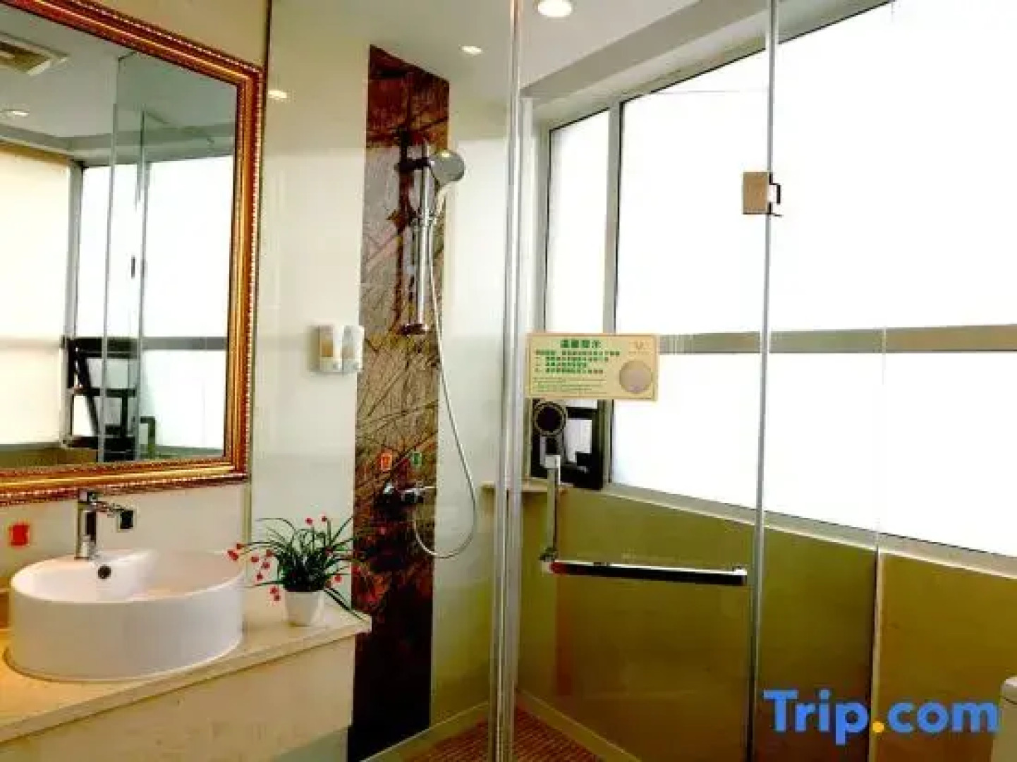 Vienna Classic Hotel (Anlu Jiefang Avenue)