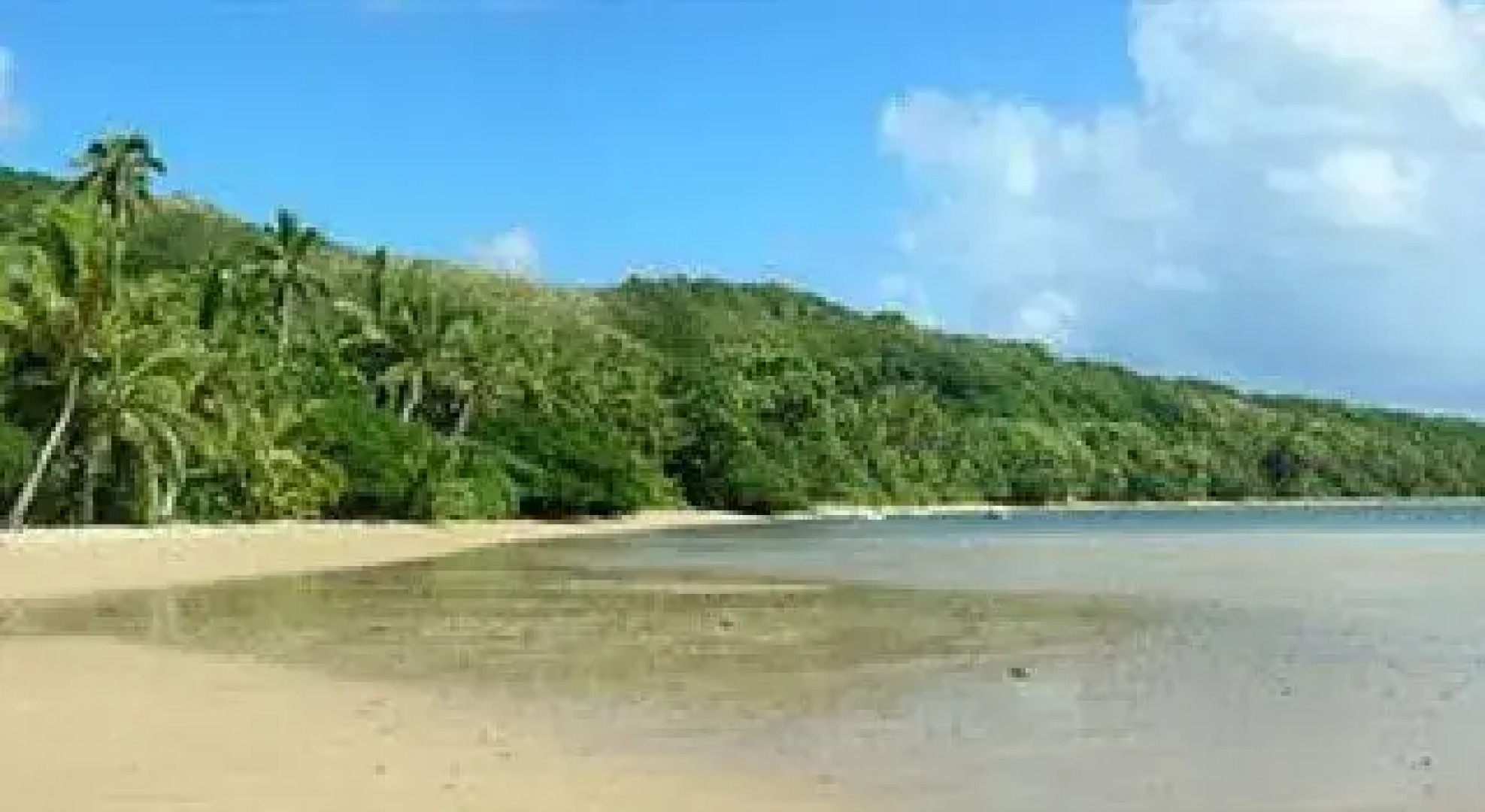 Waisalima Beach Resort & Dive Centre