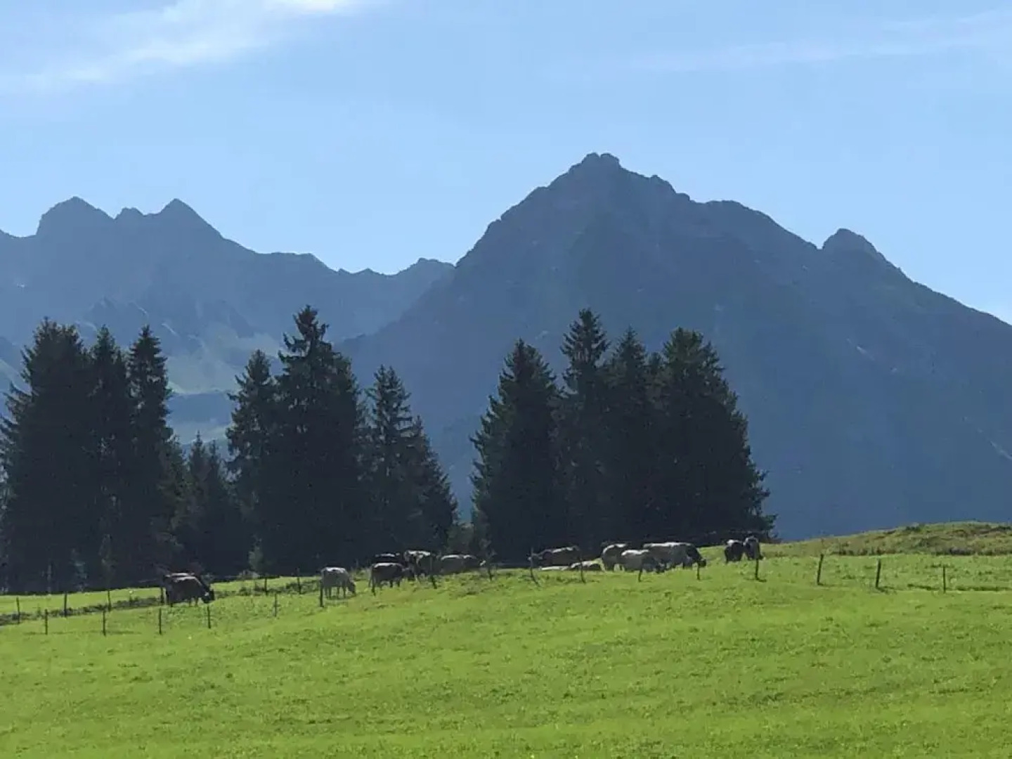 Hotel Oberdorfer Stuben