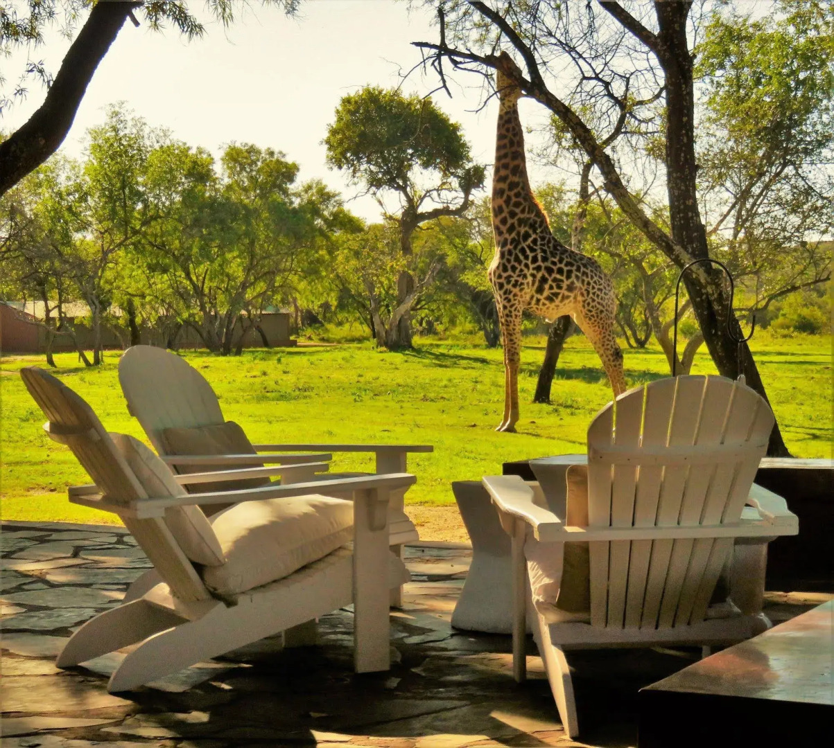 Zebras Crossing Lodge