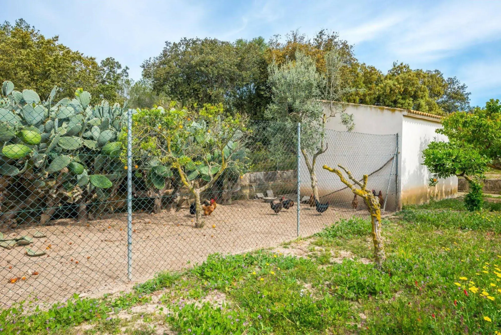 Villa Can Calafat