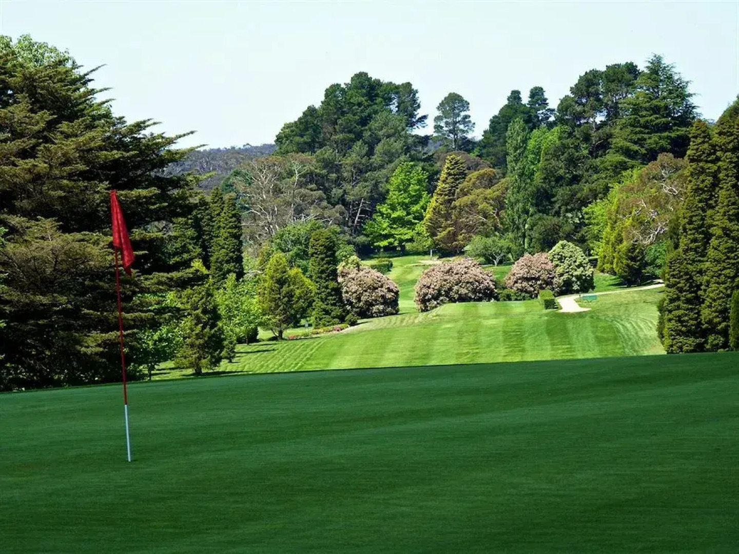 Comfort Inn Redleaf Resort