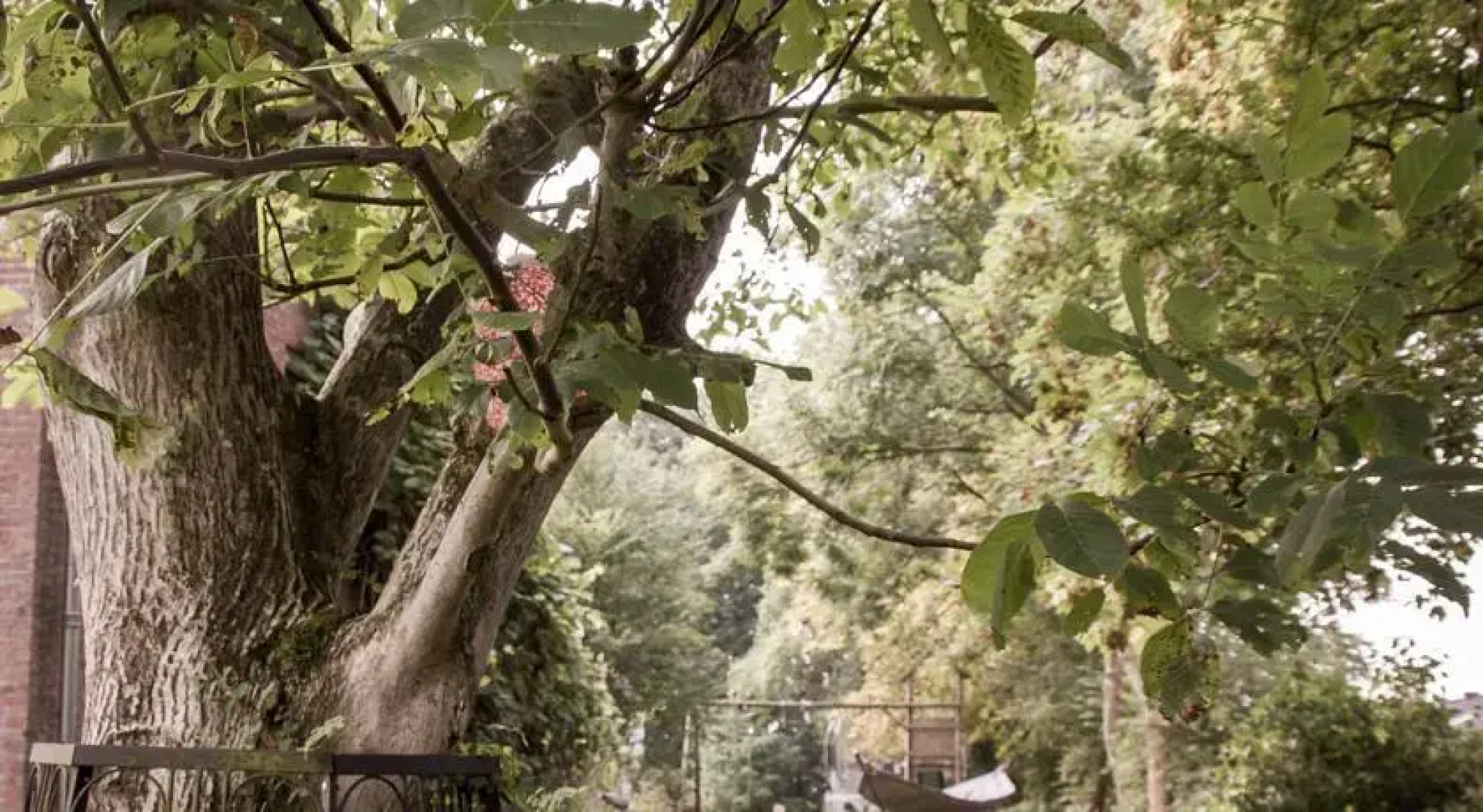 Guesthouse De Graanrepubliek