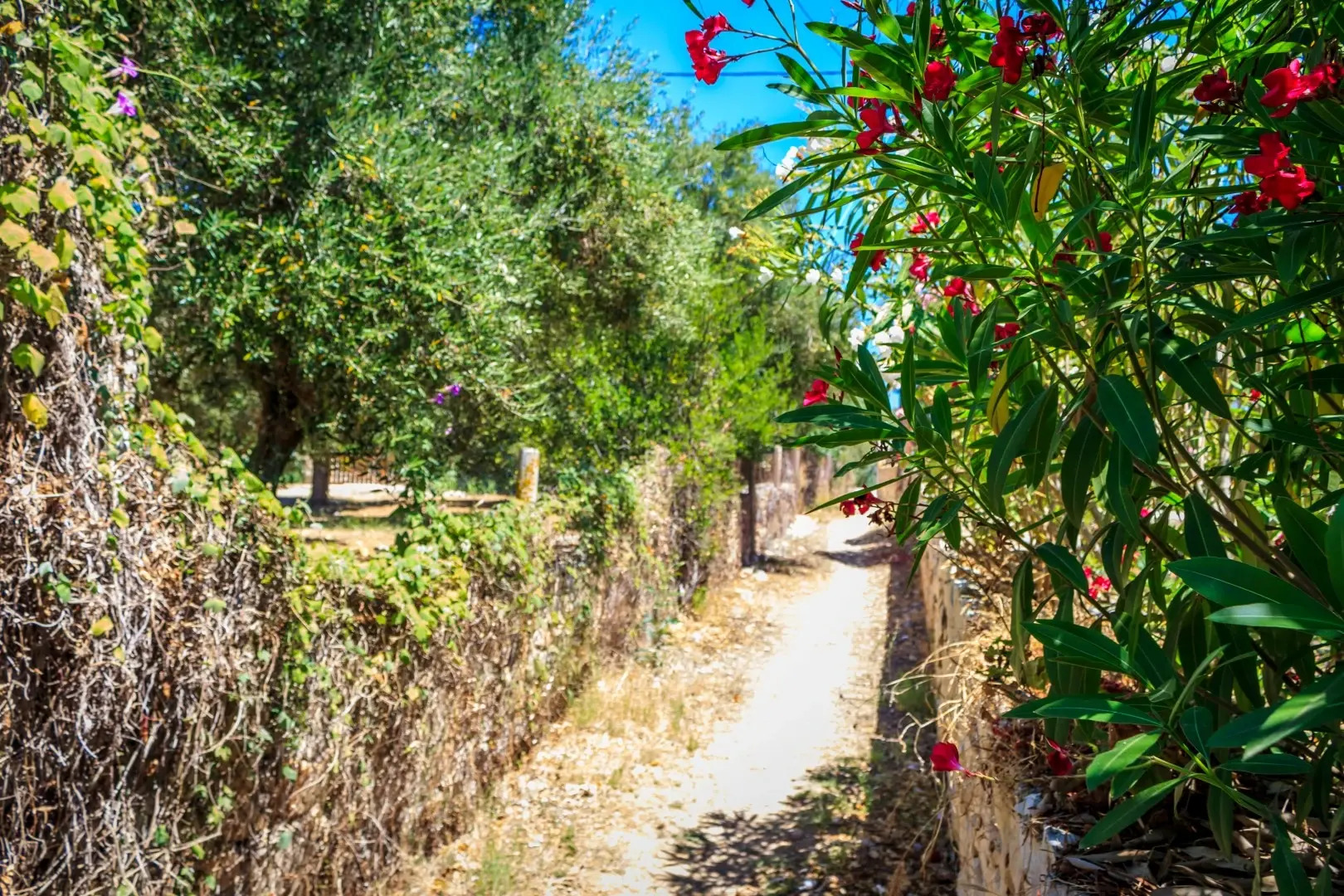 Porto Gerakas Villas & Apartments