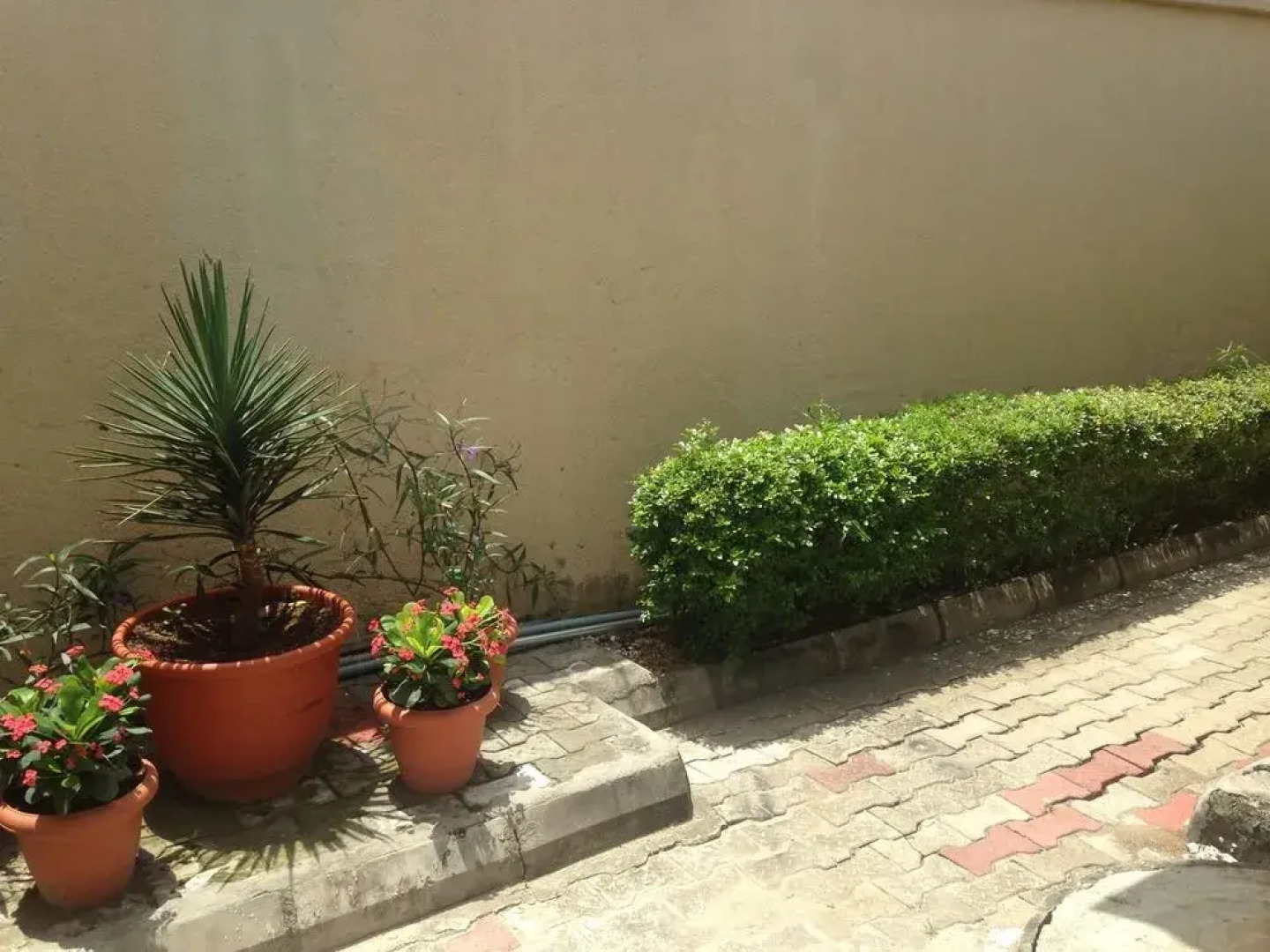 King Serve Guest House