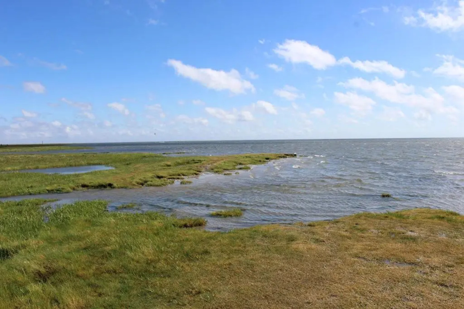 BE BIO Hotel be active