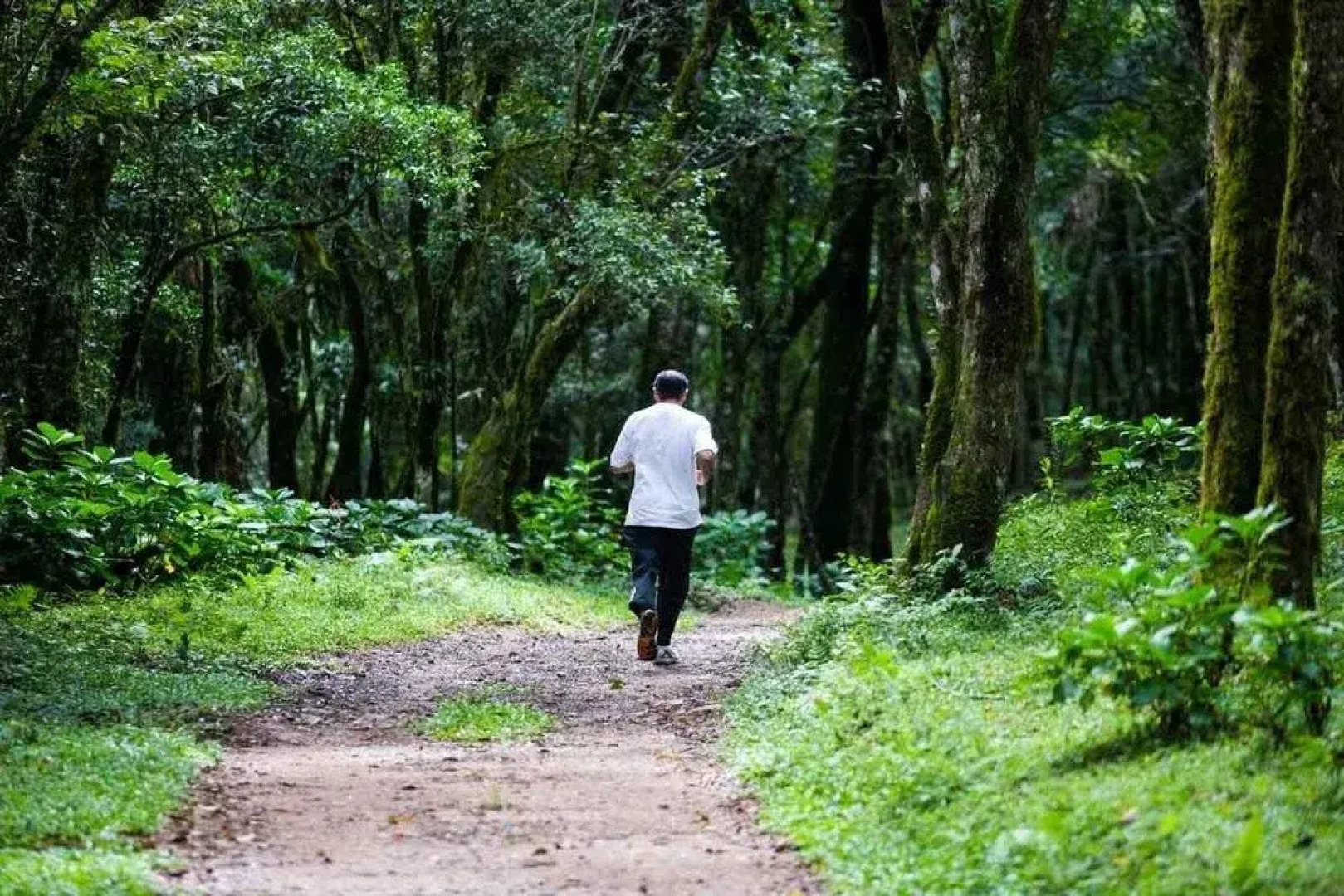 Varshana Boutique Hotel