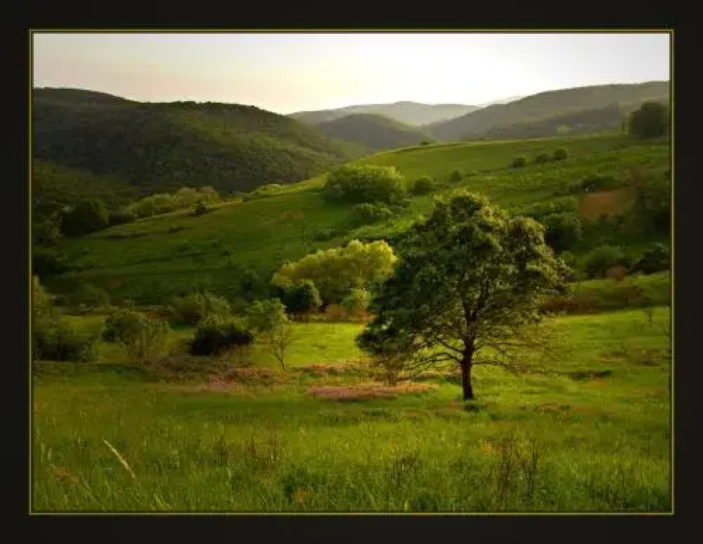 Hetényi Apartmanház és Birtok