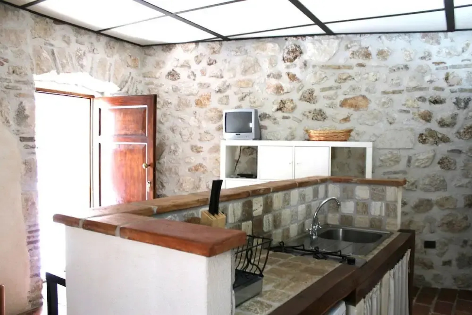 Volpe - Parco Nazionale d'Abruzzo