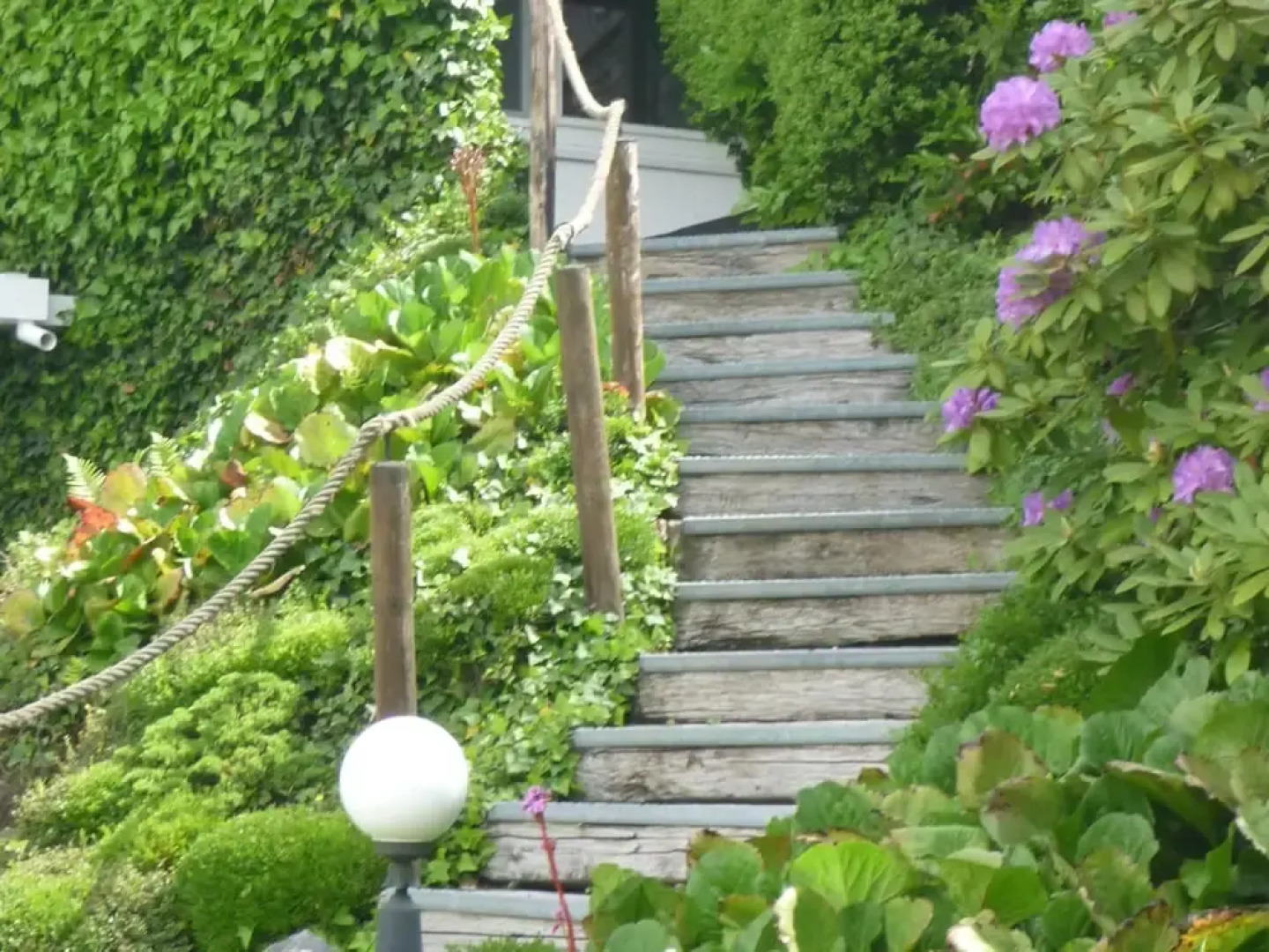 Sellerich Forest Hideaway