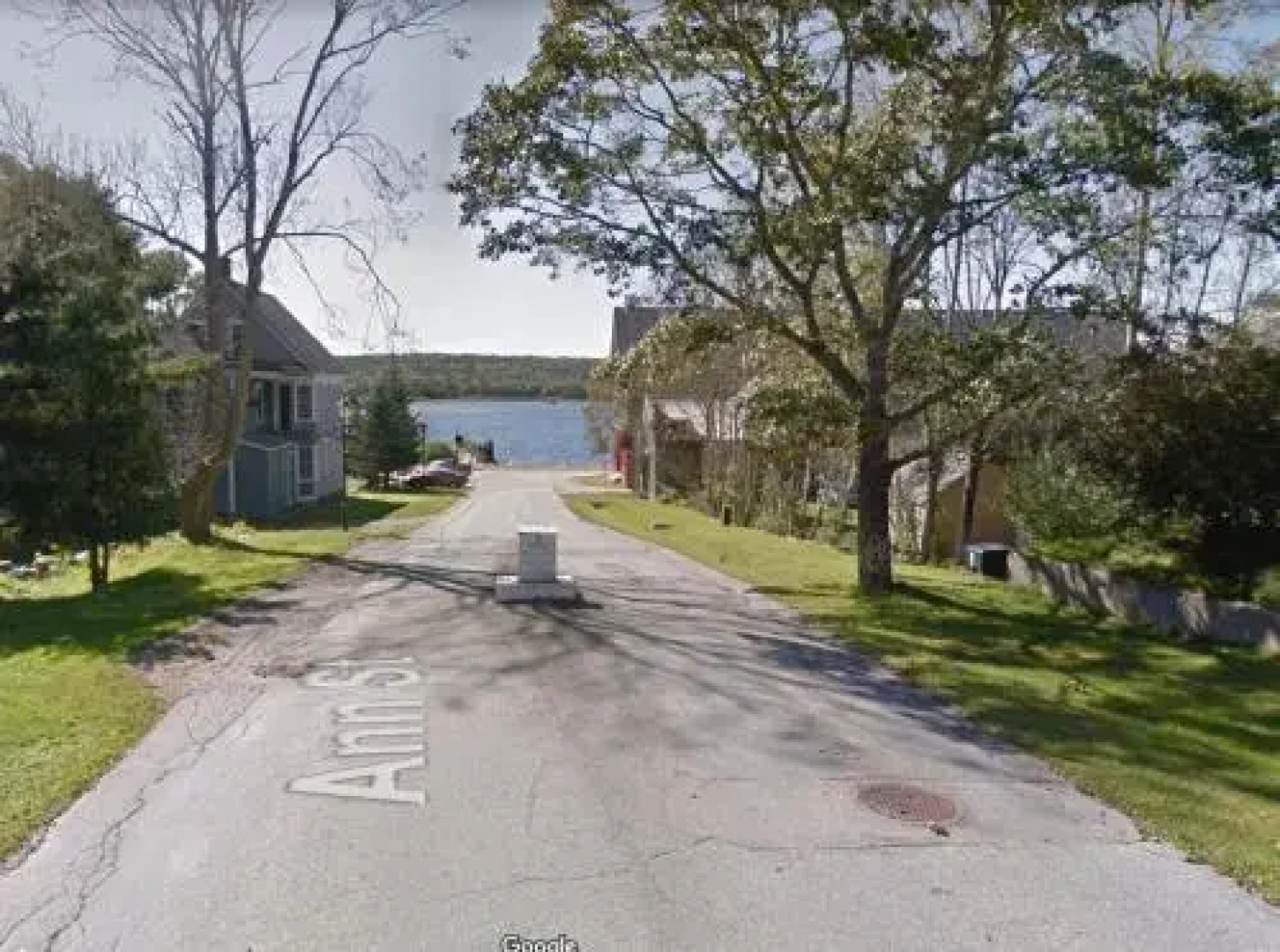 Beside The Tulip Tree