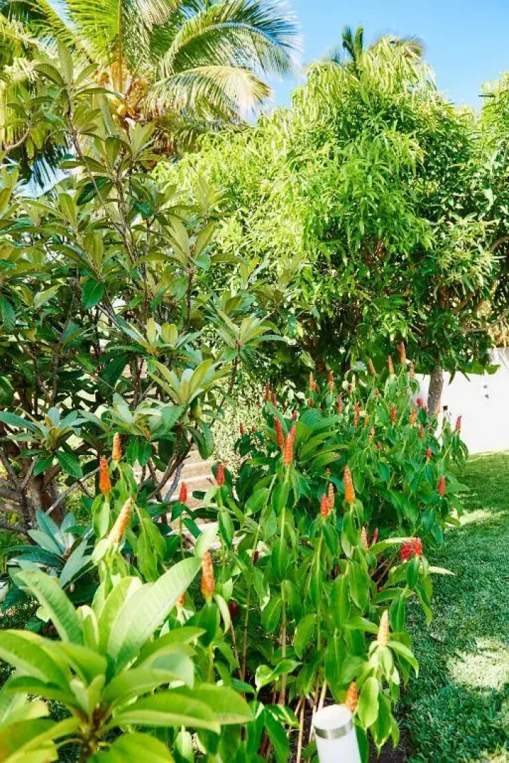 La Villa Paille en Queue