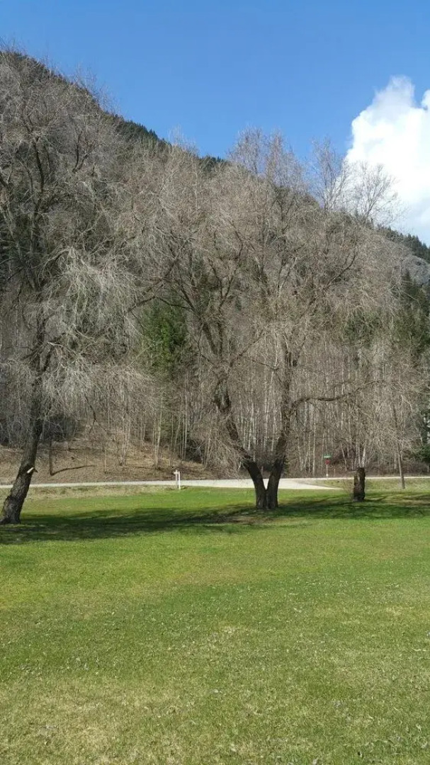 Rivermount Motel Campground and RV Park