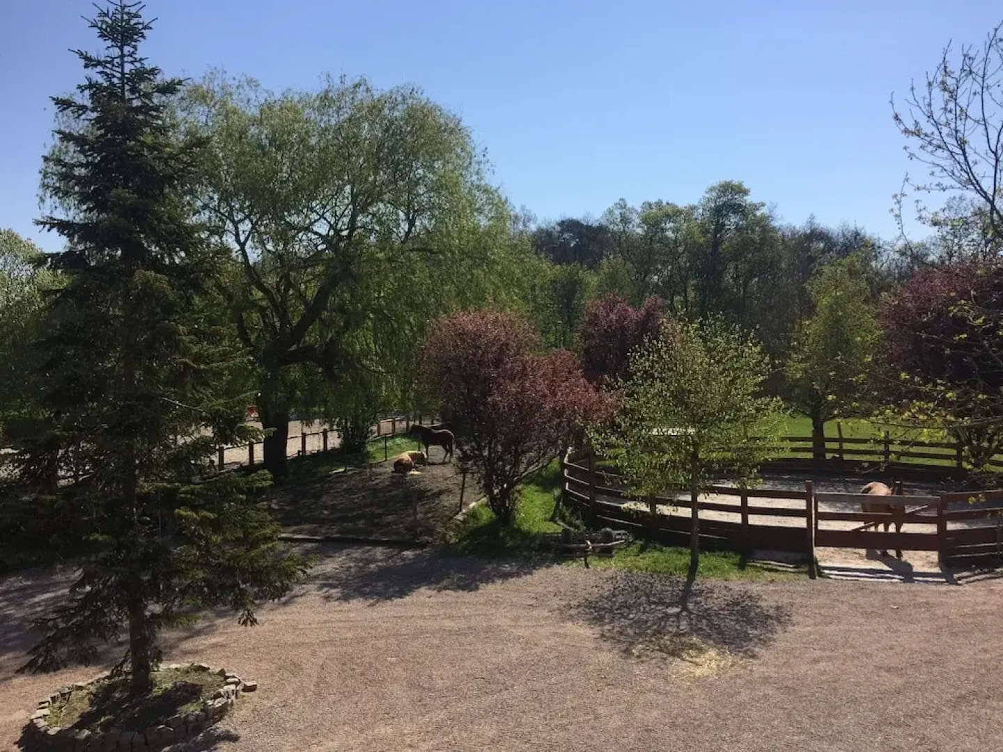 Chambre D'hôtes de L'ecurie de Penelope