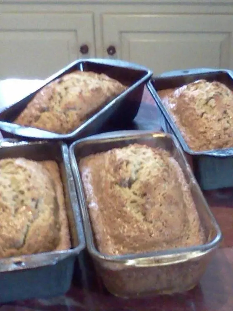 Living Spring Farm Bed and Breakfast