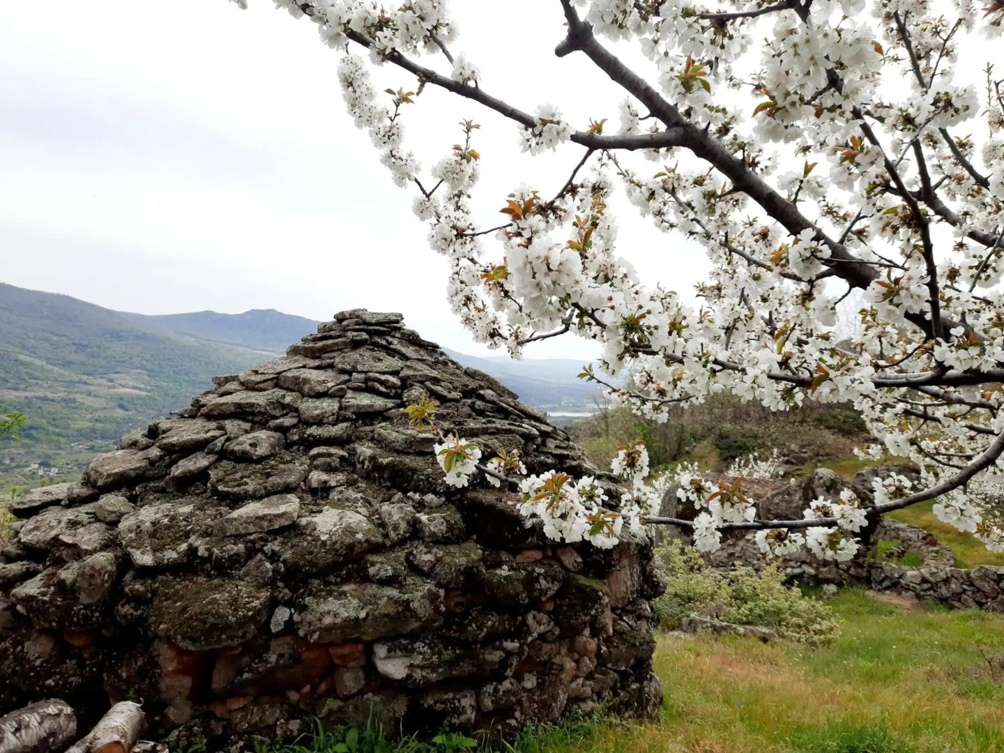 Apartamento Rural Amaluna