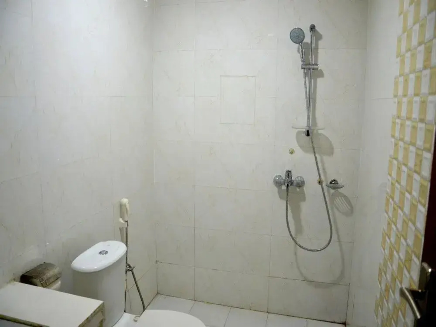 OYO 4308 Hotel Zaarang Inn