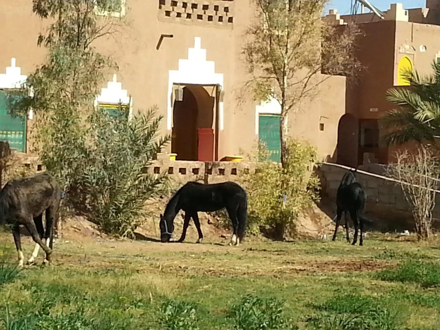 Hostel jnane dar diafa is in the center of tamegrouteface of the bibiotheque