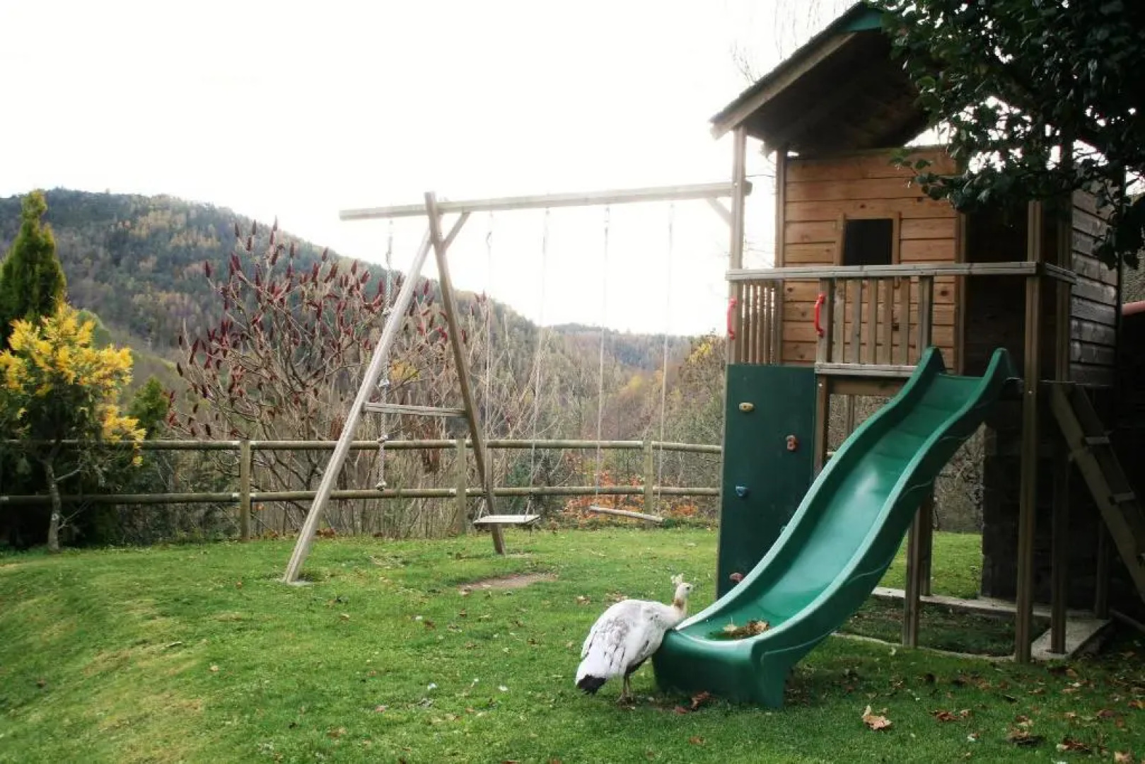 Apartamentos Rurales Les Barnedes