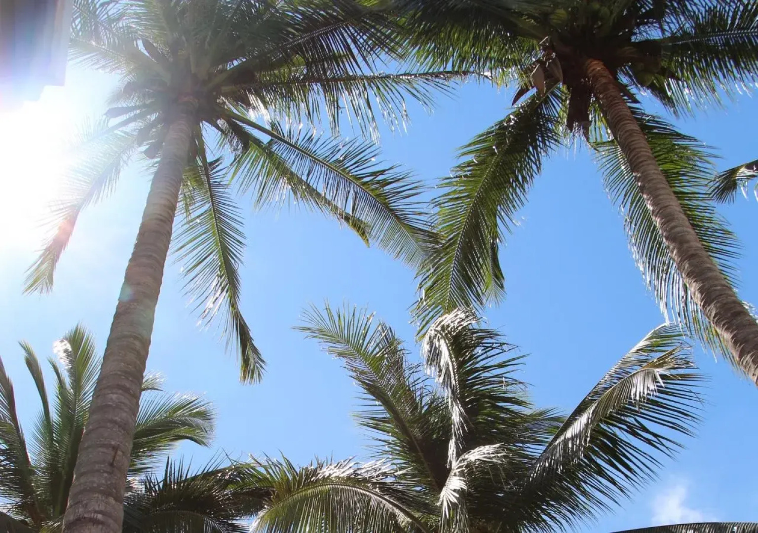 Le Sen Boutique Hotel