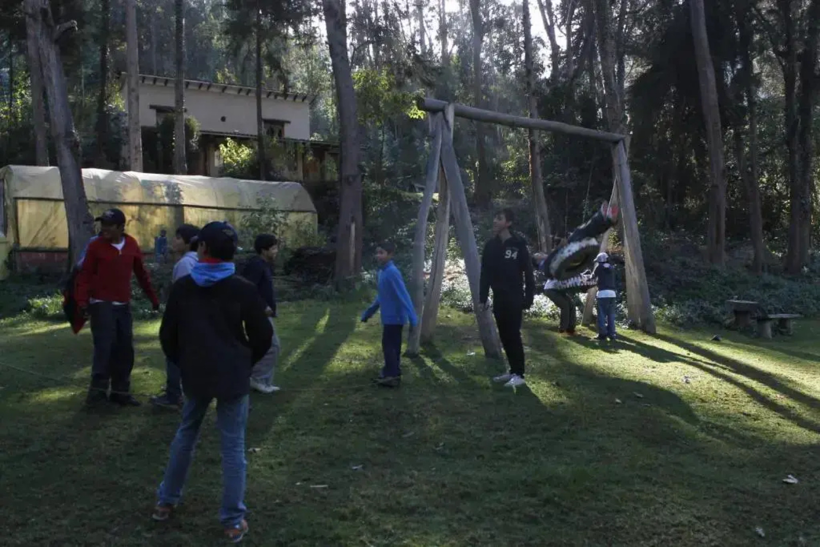 Altai Oasis Eco lodge