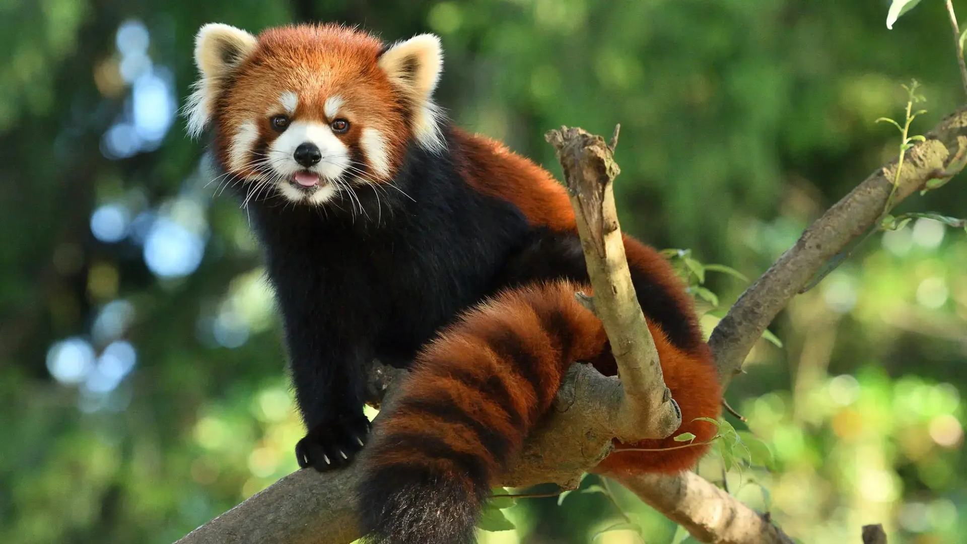 Ooedo Onsen Monogatari Nagayama